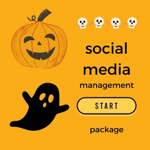 social media management and content creation