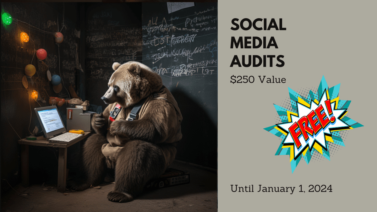Social Media Audits